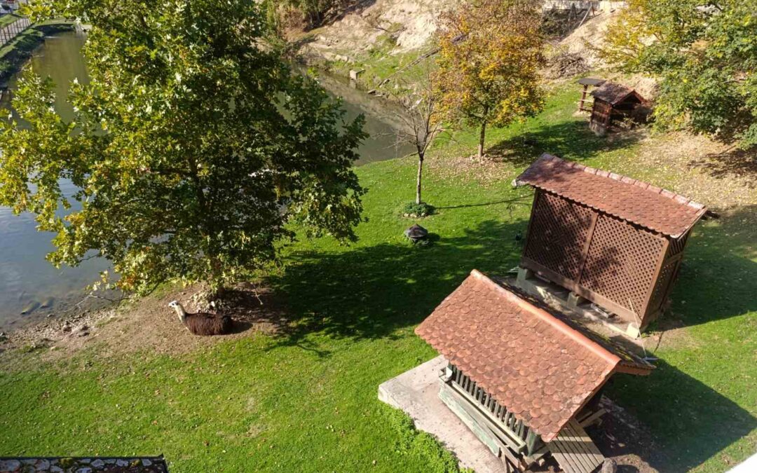 Terenska nastava viših razreda – Samobor